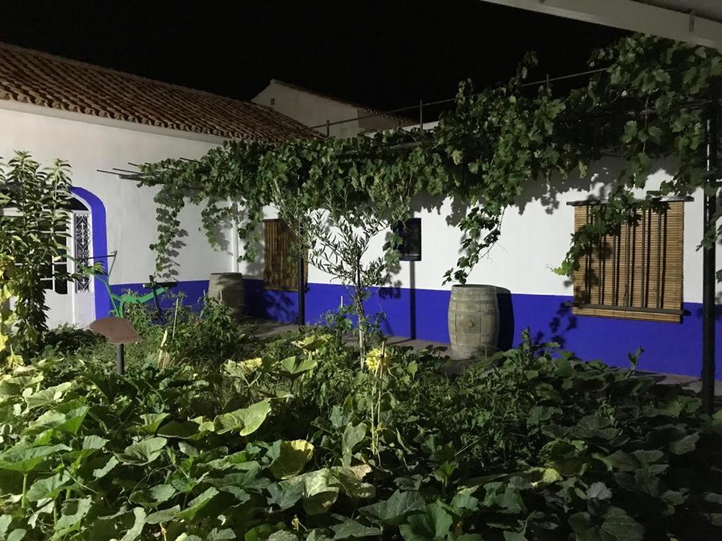 Casa Rural Manchega La Alameda de Cervera Exterior photo
